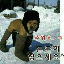 산양파출소 이미지