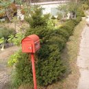 라벤더하우스 이미지