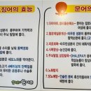 살아있네문어