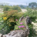 소담초등학교 | [학교 탐방]익산 미륵초등학교 탐방 후기 (위치, 운동장, 전경,정원 모습)