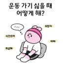 고미식당 이미지
