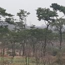 우림조경건설 이미지