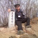 중동서울