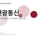 대한광통신(주)