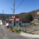 남사1리 티스토리