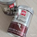 일리 고소한 원두 아라비카 셀렉션 과테말라 홀빈