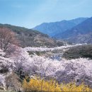 죽연마을(문척) 이미지