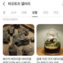 갤러리코쿤 이미지