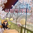 영천 | 대구 근교 벚꽃 캠핑장 | 영천 휘명빌리지 :: 아이랑 캠핑 후기