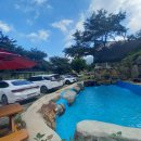 일송정 산장 이미지