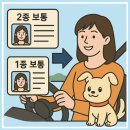 전환 | 운전면허 2종 보통 7년 무사고 1종 보통 전환 후기