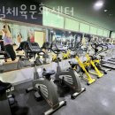 면일 네이버블로그