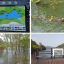 조형과 운동 이미지