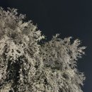 봉구스밥버거서울대공대점