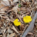 해파랑길 2코스 이미지