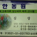 평창 백운산 산행 이미지