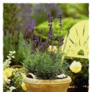 사람과나무 이미지