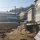 백용낚시터 이미지