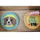 댕댕미식회 이미지