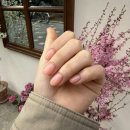 네일빛들