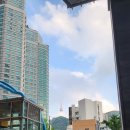 소망농장 | 회현역 손종원 셰프 미슐랭 1스타 라망시크레 프렌치 파인다이닝 디너 후기