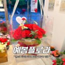 산내마을 2단지 후문 앞 GATE2 (1) | 파주 가람마을 카네이션 꽃집 예봄플로라｜비누꽃 콘 바구니 어버이날 선물 추천