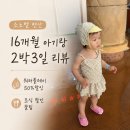 수신블루베리 | 소노벨 변산 조식할인 오션플레이50% 할인 방법, 16개월 아기 동반 2박3일 후기