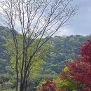 지에스(GS)25 태화강정원점 이미지