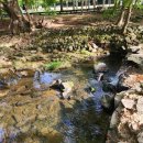 동학농장 이미지