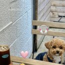 리포스토 이미지