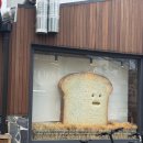 김준엽치과의원 이미지