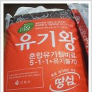 친환경 토마토 이미지
