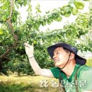 김학진농장 이미지