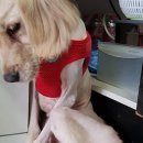 여수농장 이미지