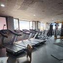 팀피피짐 | 전북대 헬스장 팀피피짐, 운동초보자도 안심되는 체험 PT 후기