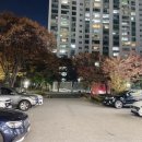 수원영통속눈썹펌 엘리스스튜디오에서 영양가득 속눈썹펌으로 자연스런 컬링 후기