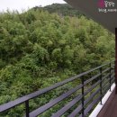 통영767 이미지