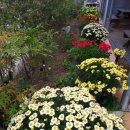 가자펜션민박 이미지