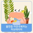 아일랜드테라피