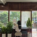 카페오늘 | [반려견동반] 천안 카페오늘 후기