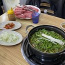 250329 ) 위고비 32일차 후기 / 고기는 왜 배가 부르지 않은가