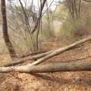 백덕산주유소 이미지