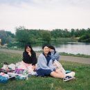 아일랜드365 이미지