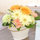 김두식공인중개사사무소 이미지