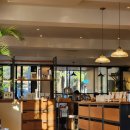 참사랑세탁소 | 스스로를 용서하지 못한 너를 위한 책 『메리골드 마음 세탁소』ㅣ 독서후기