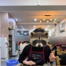 보통집 | 서울대입구 '대호아구집' | 아구찜박사의 섞어찜 보통맛 후기 내돈내산