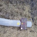 용동1리 이미지