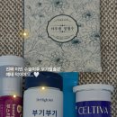 매그니유 이미지