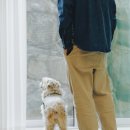 세교와르 이미지