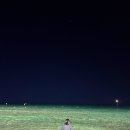 아슈크림 | ✨🌊 강릉으로 떠나보아요 (^o^)🎶 | 강릉 1박 2일, 리틀다이너 🍔, 스카이베이 인피니티풀 🏊🏻‍♀️, 동화가든...